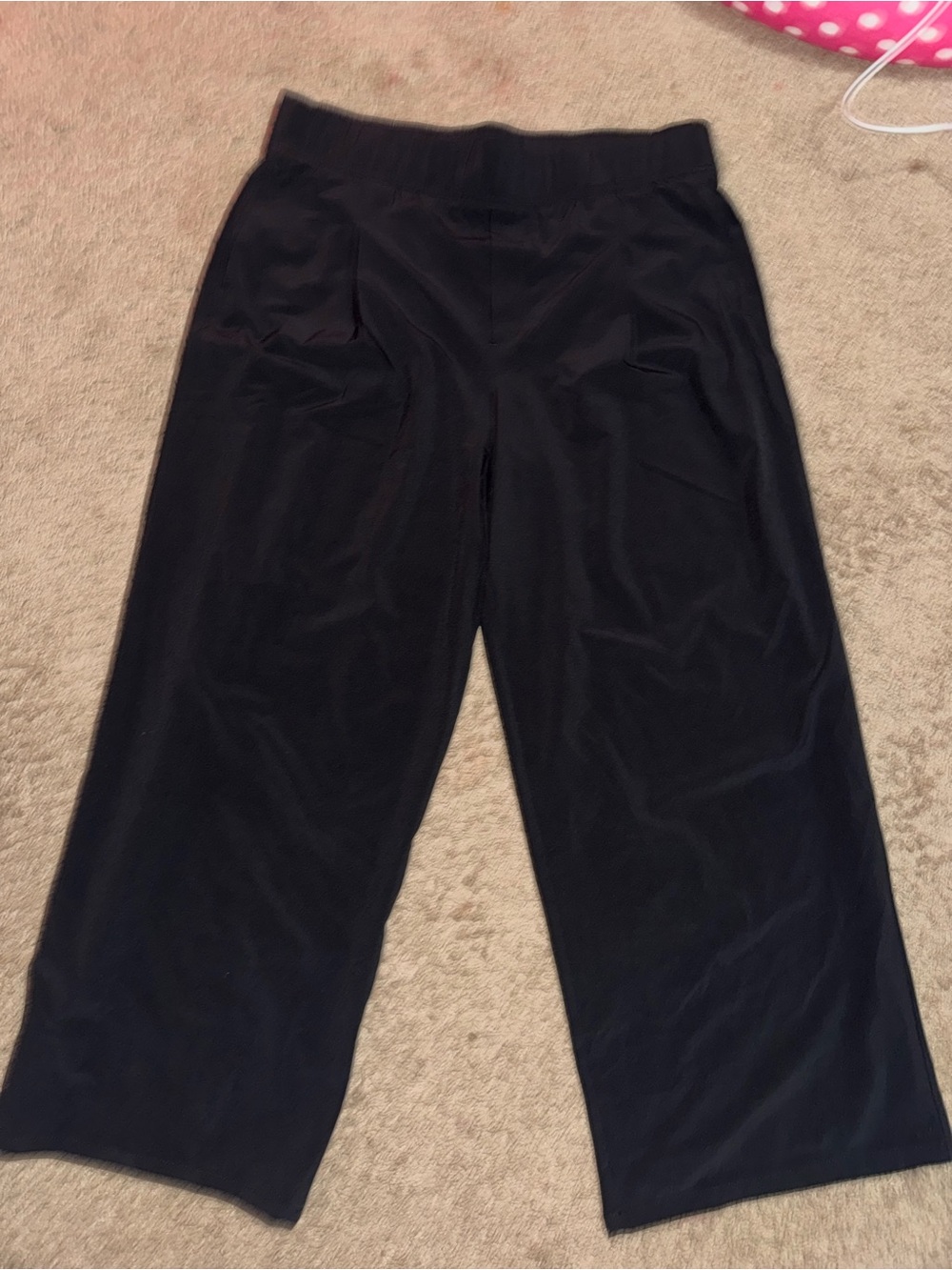 Eddie Bauer Women’s Pants PL Petite Large Black Straight Leg Pull On